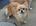 user_image