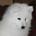 user_image