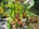 user_image