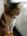 user_image