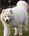 user_image