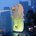 user_image