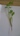 user_image