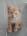 user_image