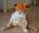 user_image