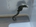 user_image