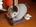 user_image