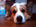 user_image