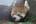 user_image