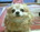 user_image