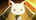 user_image