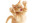 user_image