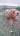 user_image