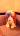 user_image