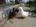 user_image
