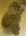 user_image