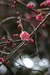 A6084535f