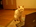 user_image