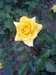72fb3e27a