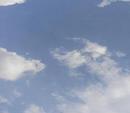 F00286e89