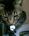 user_image