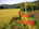 user_image