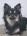 user_image