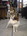 user_image