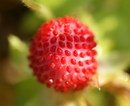 F170bcef6