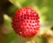 F170bcef6