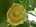 user_image