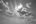 user_image