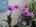 user_image