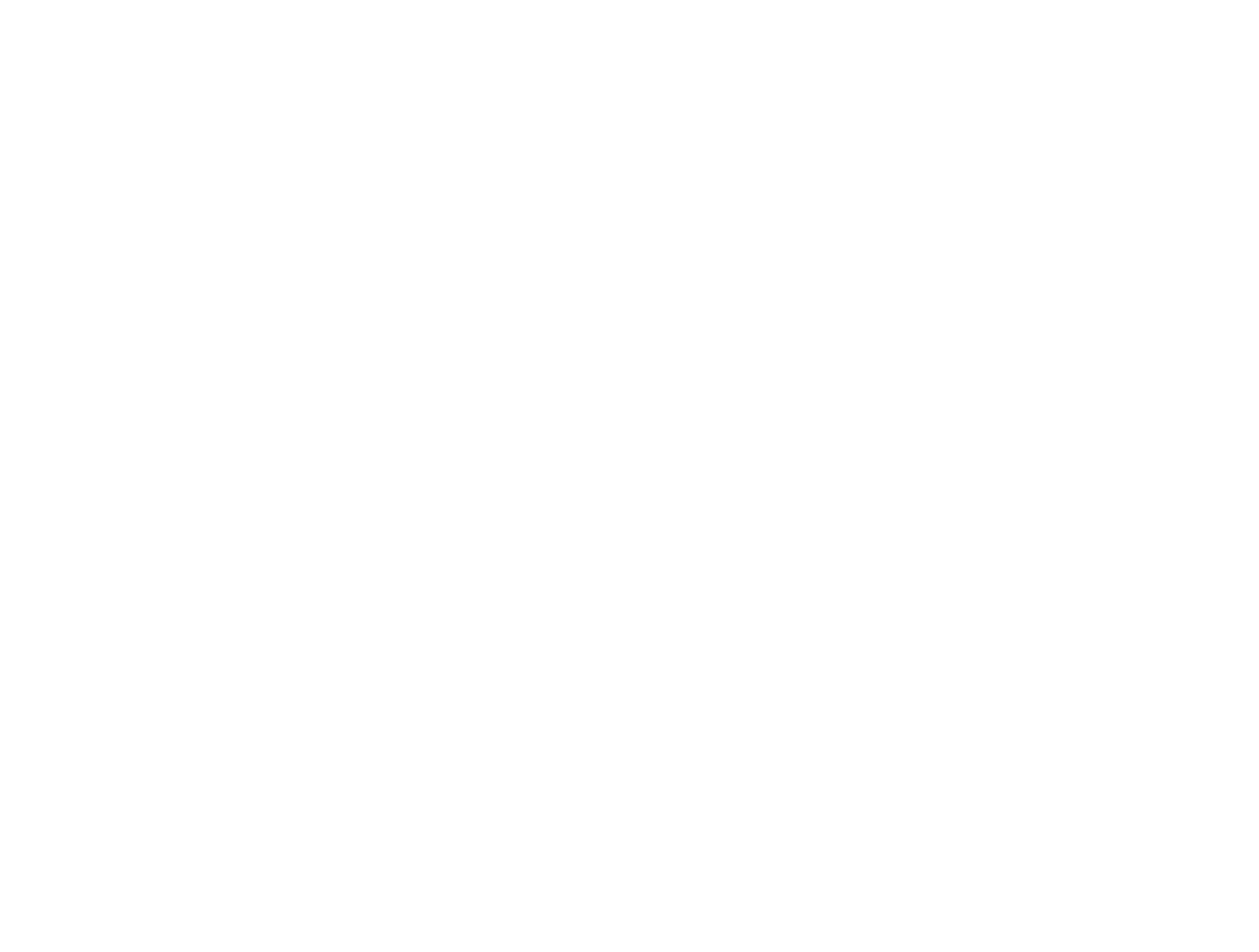 アメリカの例
