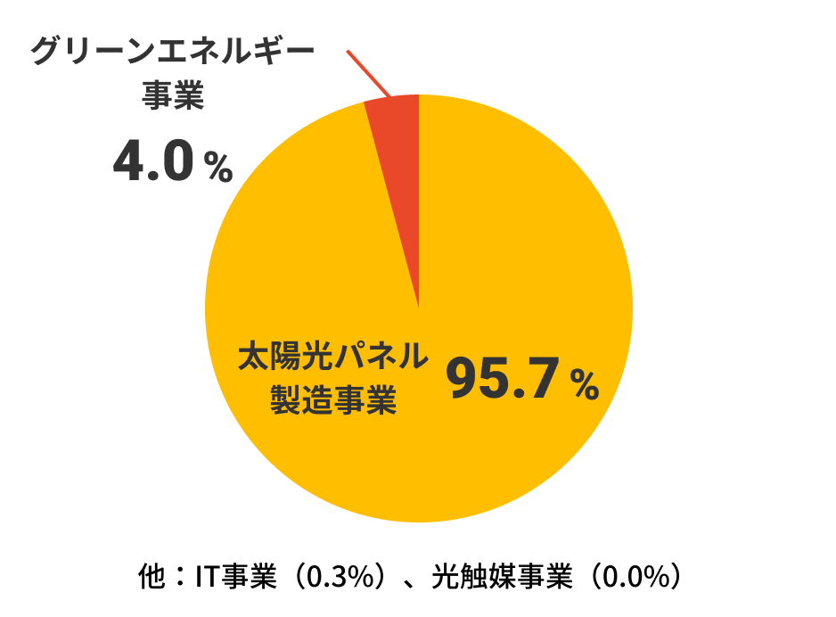 売上高構成比（2024年6月期）