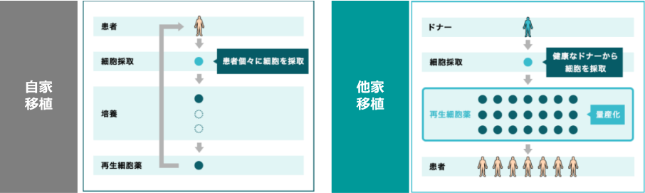 他家細胞治療薬の開発アプローチ