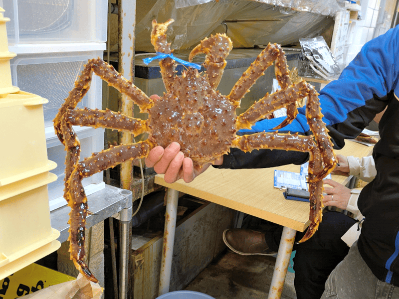 市場で購入したお土産のカニ