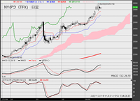 NYダウ（TFX）　日足　チャート